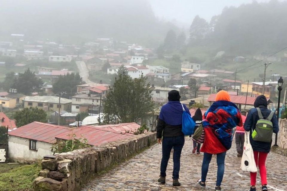 Oaxaca: Zipline, Nature Walk, and Gastronomy Tour - Key Points