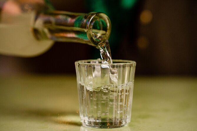 Oaxacan Artisan Mezcal Tasting in Valladolid - Key Points