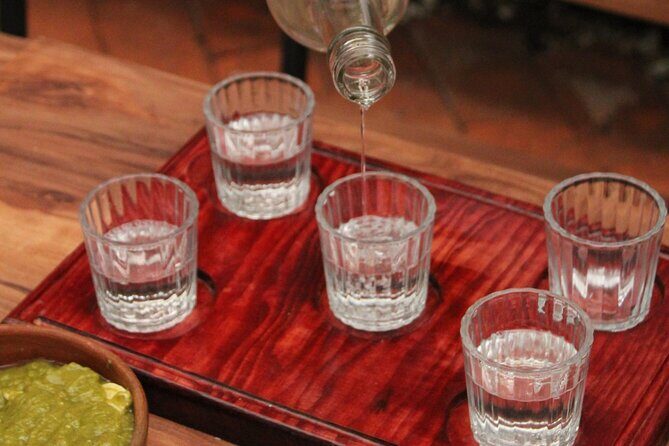 Oaxacan Mezcal and Pairing Tasting - Exploring the Oaxaca Mezcal and Food Tasting Tour