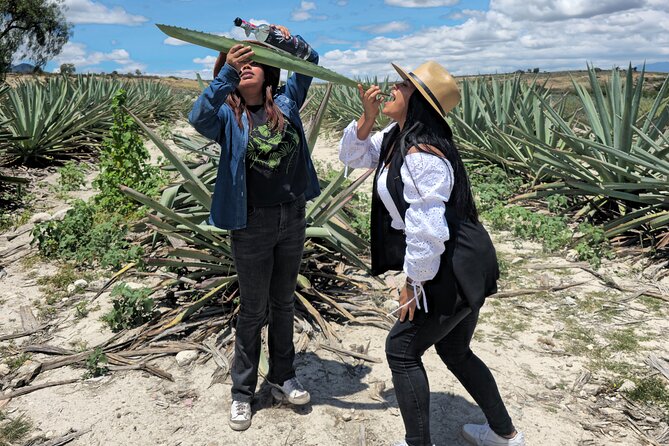Oaxacan Mezcal Tour - Traveler Feedback and Recommendations