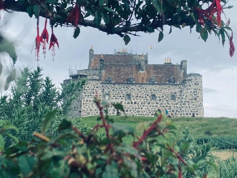 Oban: Isle of Mull and Iona Tour - Analyzing the Value