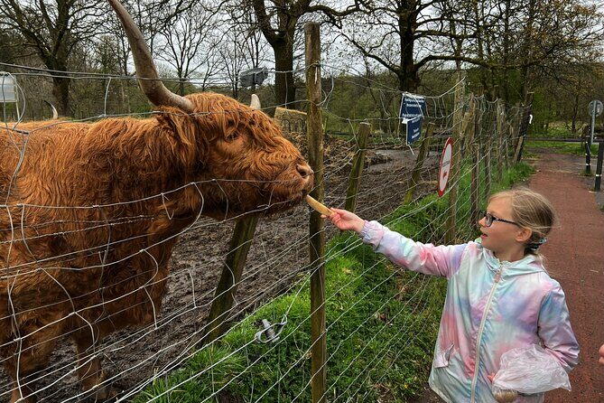 Oban, Whisky, Glencoe, Highlands, Loch Lomond Private Tour - The Bottom Line: Who Should Consider This Tour?