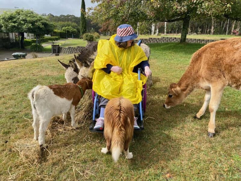 Oberon: Breaky with The Crew - Animal Lover Experience! - Final Thoughts