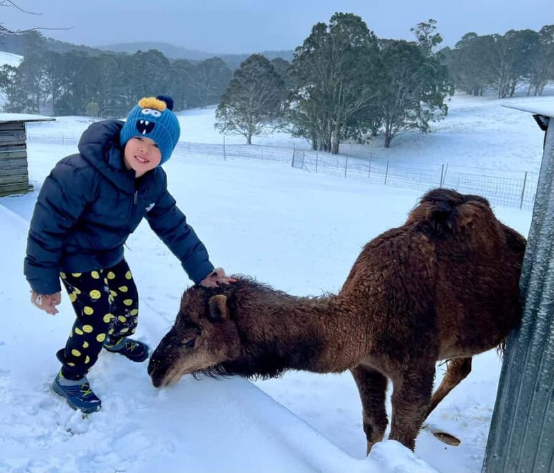 Oberon: Kenzell Farm Tour  A Hands-On Animal Adventure! - Who Should Consider This Tour?