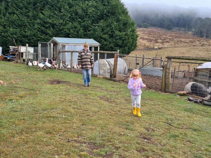 Oberon: Kenzell Farm Tour  A Hands-On Animal Adventure! - FAQ