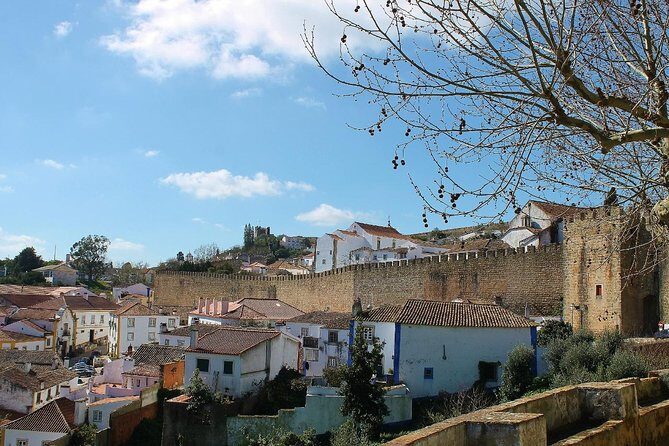 Óbidos historic village and Mafra Palace Private Tour - Who Should Consider This Tour?