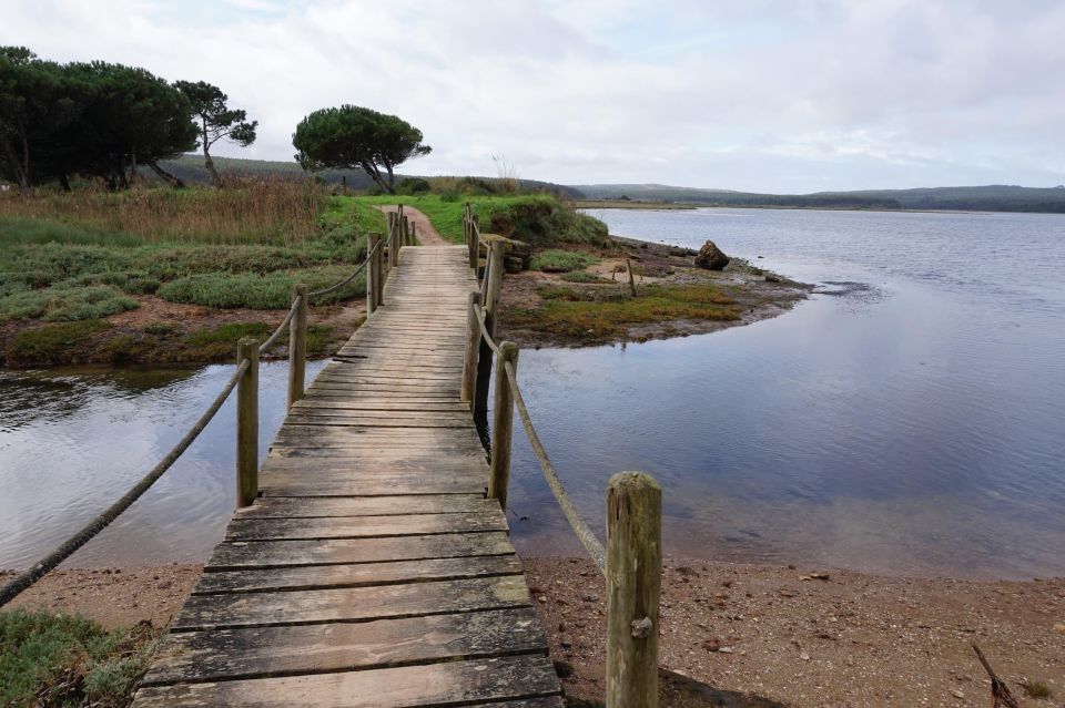 Óbidos: Lagoon Bike Tour - Cancellation Policy