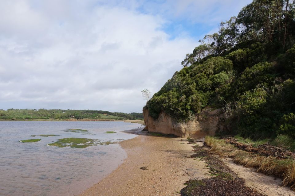Óbidos: Lagoon Bike Tour - Important Information