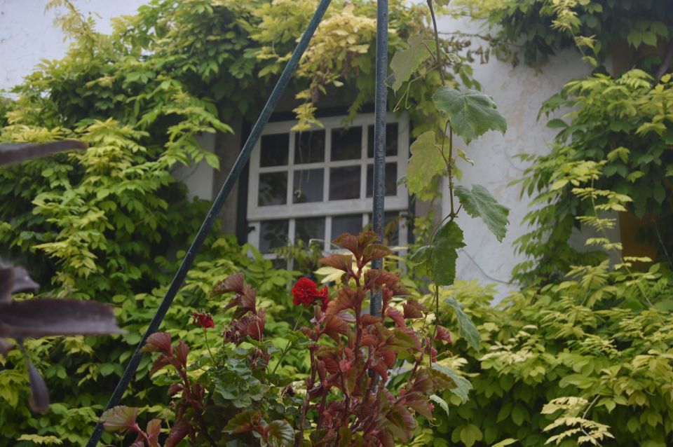 Óbidos: Medieval Tales and Secret Spots Walking Tour - Meeting Point Details