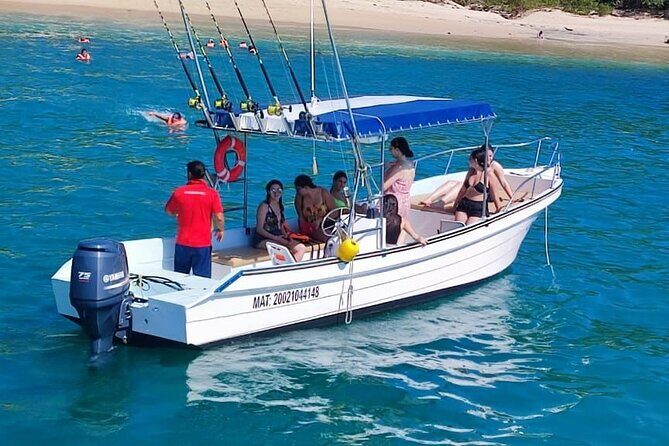 Observation DE Marine Mammals Dolphins and Ballenas EN Huatulco - Frequently Asked Questions