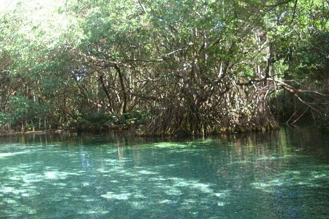 Occidental Grand Punta Cana - Round Trip Shuttle - Punta Cana Airport - What Does the Transfer Experience Look Like?