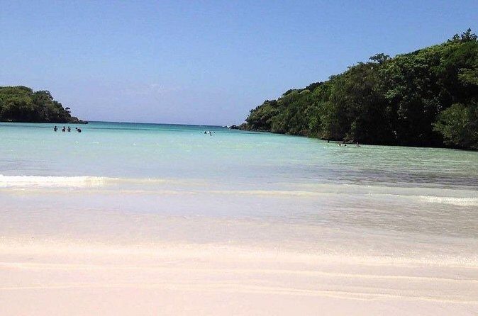 Occidental Grand Punta Cana - Round Trip Shuttle - Punta Cana Airport - Who Will Benefit Most?