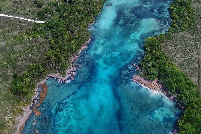 Occidental Grand Punta Cana - Round Trip Shuttle - Punta Cana Airport - What to Keep in Mind Before Booking