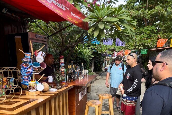 Ocean and Jungle: Snorkel, Quimixto Waterfall and Beach Adventure - Who Should Consider This Tour?