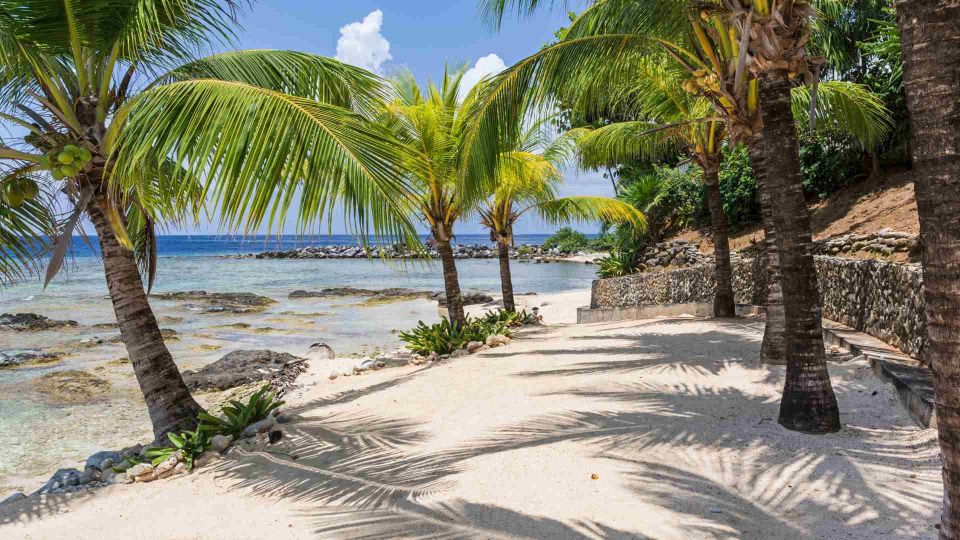 Ocean Breeze Beach Club With Transport and Lunch - Additional Information
