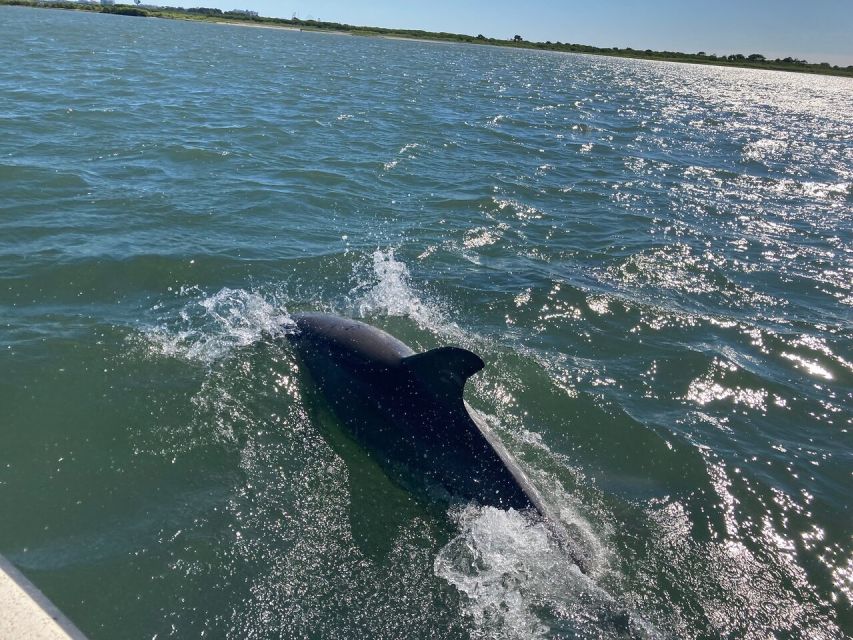 Ocean City: Atlantic Ocean Catamaran Cruise With Crew - Important Accessibility Information