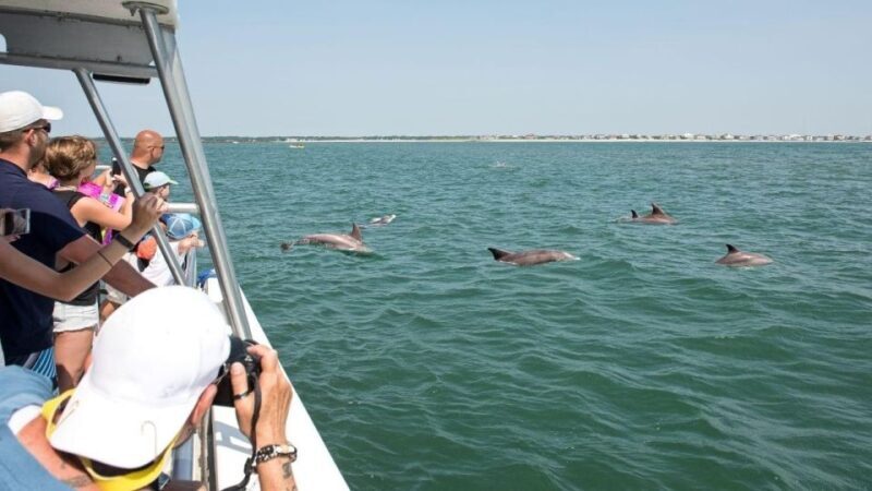 Ocean City, MD: Coastal Speedboat Tour with Dolphin Spotting - Final Thoughts