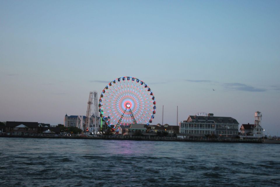 Ocean City, Md: Coastal Speedboat Tour With Dolphin Spotting - Highlights of the Experience