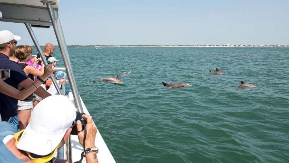 Ocean City, Md: Coastal Speedboat Tour With Dolphin Spotting - Inclusions in the Tour