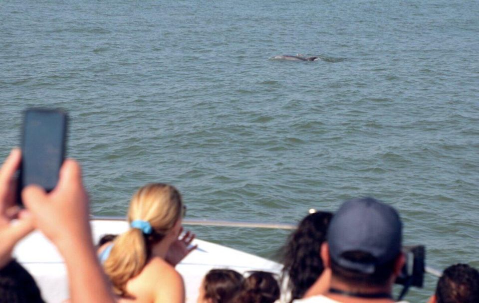 Ocean City, Md: Coastal Speedboat Tour With Dolphin Spotting - Capturing Memorable Moments