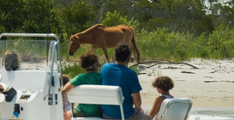 Ocean City: Private Party Assateague Island Cruise - Ocean City: Private Party Assateague Island Cruise — A Detailed Review