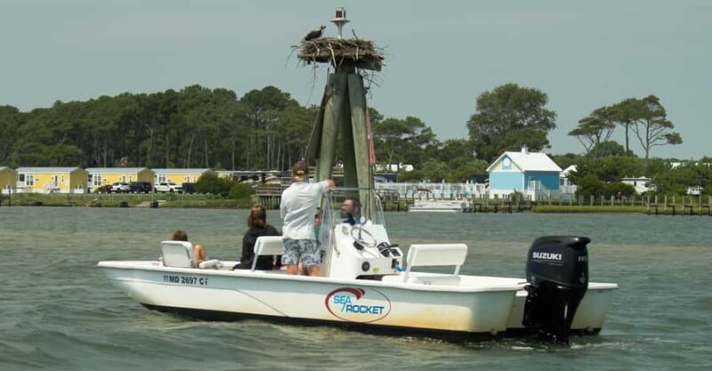 Ocean City: Private Party Assateague Island Cruise - Why This Tour Works Well for Travelers