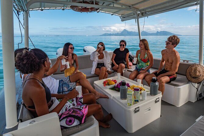 Ocean Discovery and Snorkelling in Tahiti - Why Consider This Tour?