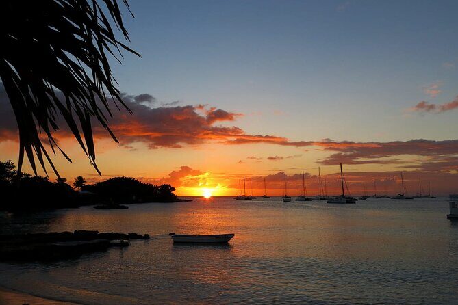 Ocean El Faro Resort - Round Trip Shuttle - Punta Cana Airport - Who Should Book This?