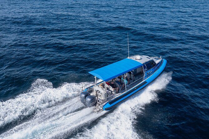 Ocean Explorer Tour from Lake Macquarie - Who Would Love This Tour?