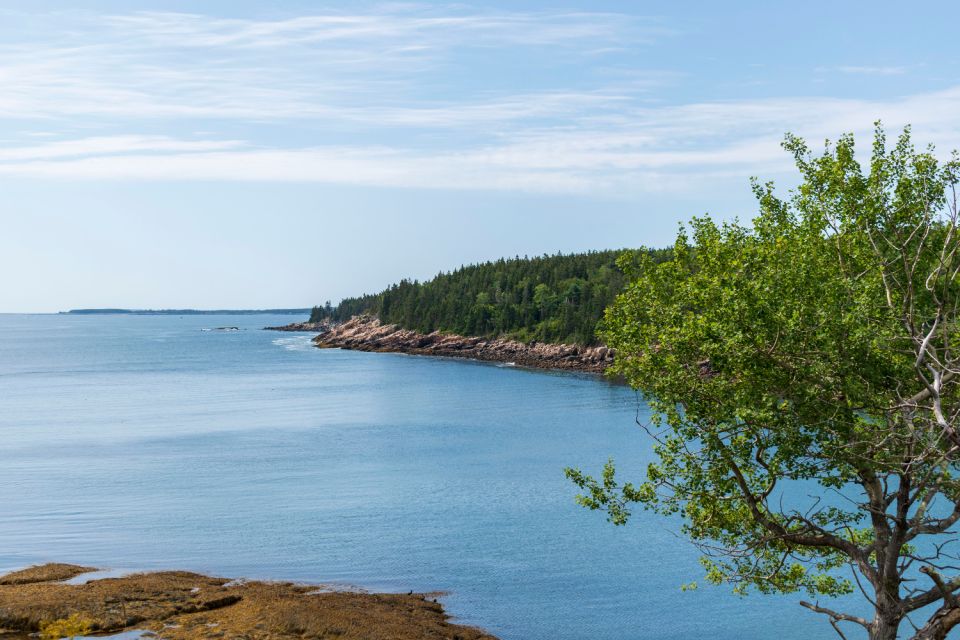 Ocean Path: Acadia Self-Guided Walking Audio Tour - Customer Reviews and Feedback