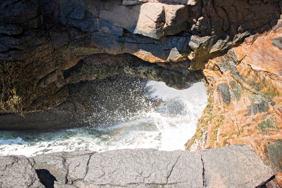 Ocean Path: Acadia Self-Guided Walking Audio Tour - Availability and Pricing