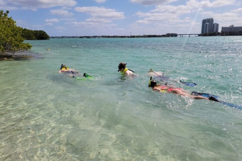 Ocean Reef Snorkeling and Paddleboarding - Final Thoughts: Is It Worth It?