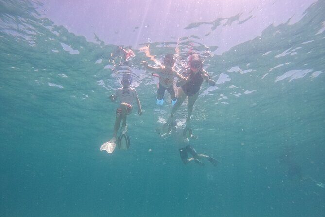 Ocean Ridge Snorkeling and Freediving Activity - Final Thoughts: Is It Worth It?