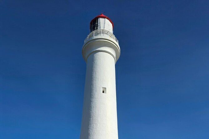 Ocean Road Private Tour from Melbourne - Apollo Bay: Lunch and Local Charm