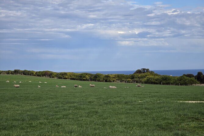 Ocean Road Private Tour from Melbourne - Loch Ard Gorge: A Dramatic Seascape