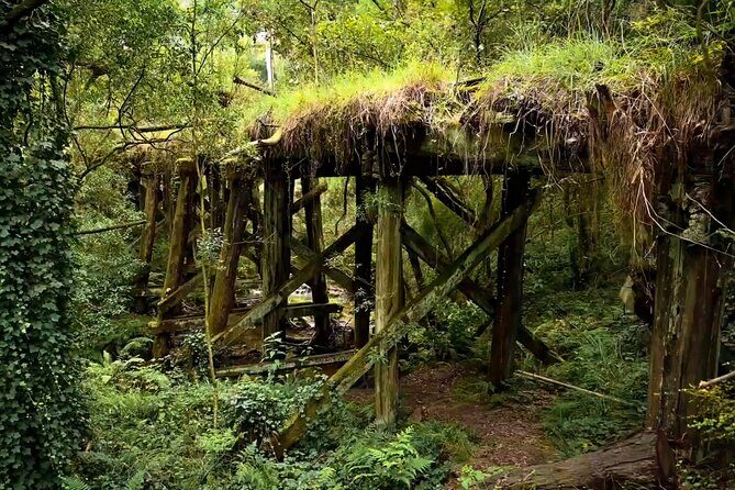 Ocean Road Scenic Bicycle Ride in Port Campbell or Timboon - Authentic Experiences and Local Flavors