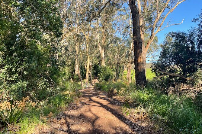 Ocean Road Scenic Bicycle Ride in Port Campbell or Timboon - FAQ