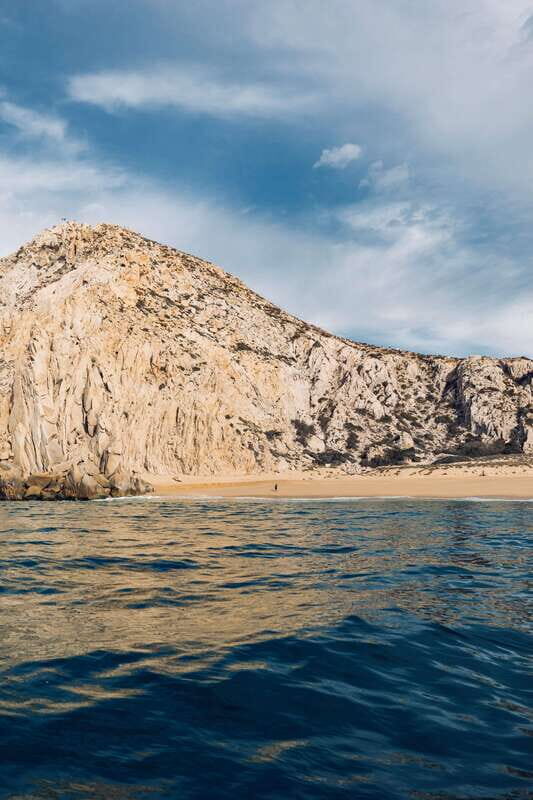 Ocean Safari in San Jose del Cabo - Key Points