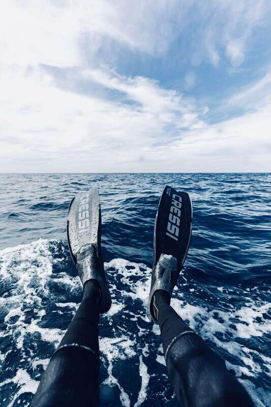 Ocean Safari in San Jose del Cabo - Wrapping Up: Who Is This Tour Best For?