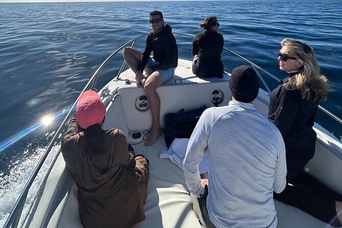 Ocean Safari in San Jose del Cabo - What Makes This Tour Stand Out