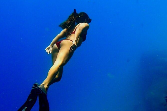 Ocean Safari Tour in Cabo San Lucas - Key Points  