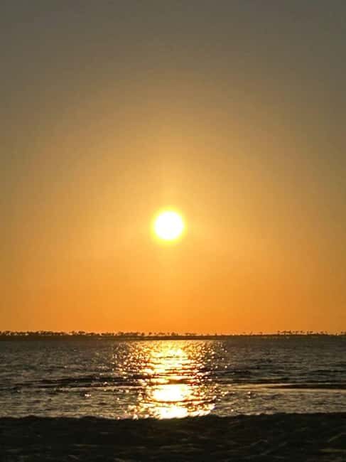 Ocean Springs: WingFoil Lesson - Who Will Enjoy This?