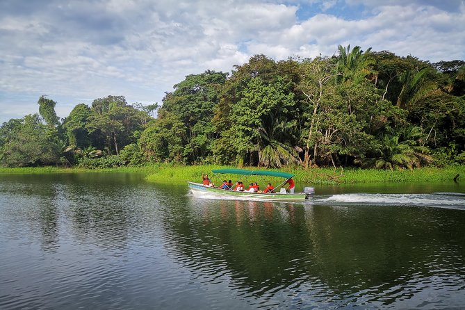 Ocean to Ocean Panama Canal and Jungle Tour - Inclusions and Logistics