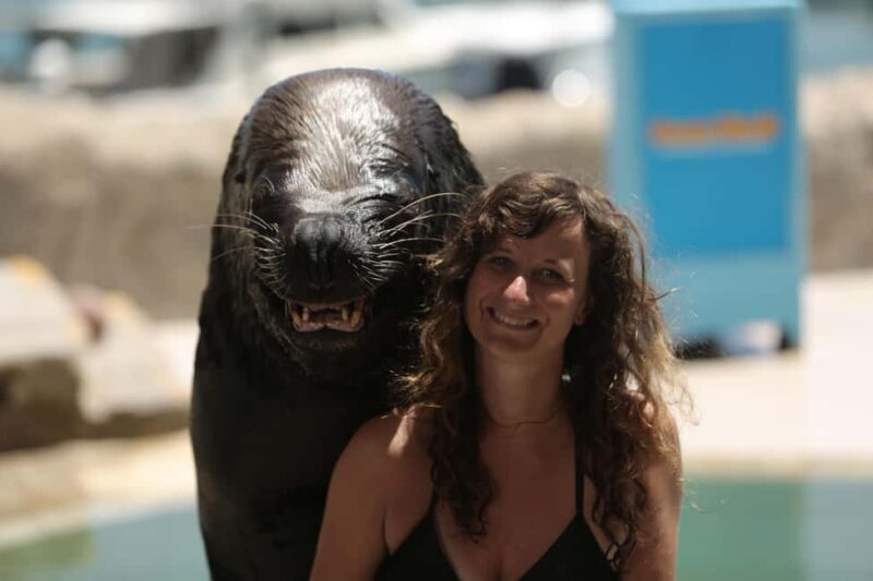 Ocean World Dolphin Swim & Sea Lion Combo from Puerto Plata - Key Points