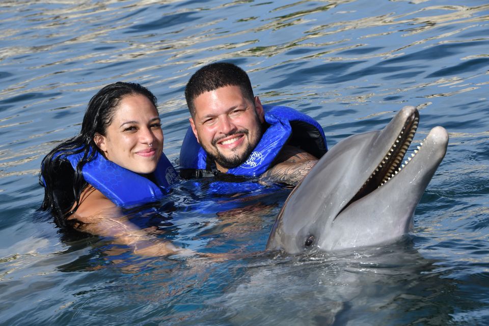 Ocean World Dolphin Swim & Sea Lion Combo From Puerto Plata - Key Points