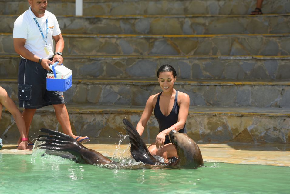 Ocean World Dolphin Swim & Sea Lion Combo From Puerto Plata - Excluded From the Package