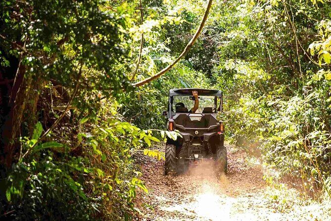 Oceanview Offroad UTV Tour in Fajardo Puerto Rico - FAQ