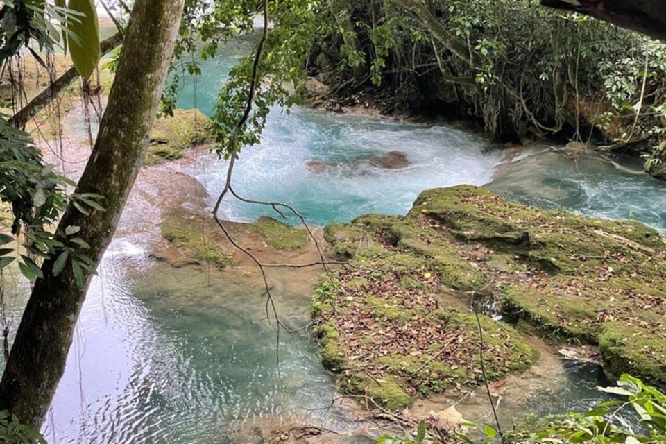 Ocho Rios: Blue Hole and Secret Falls Sightseeing Tour - Activities at Blue Hole