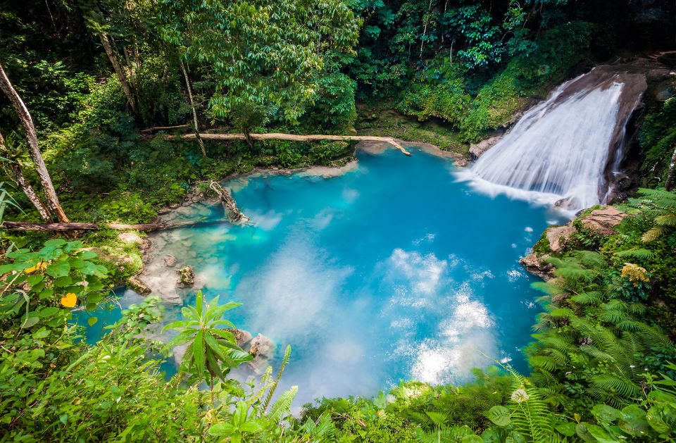 Ocho Rios: Blue Hole, Dunn's River & Reggae Hill Guided Tour - Highlights of the Tour
