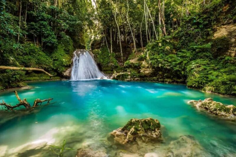 Ocho Rios: Blue Hole, White River Tubing, and Horseback Ride - The Itinerary: What You Can Expect